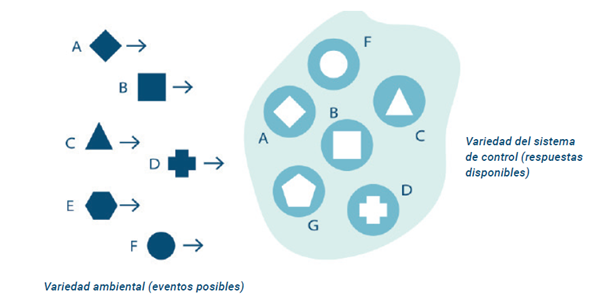 Imagen que contiene Icono

Descripción generada automáticamente